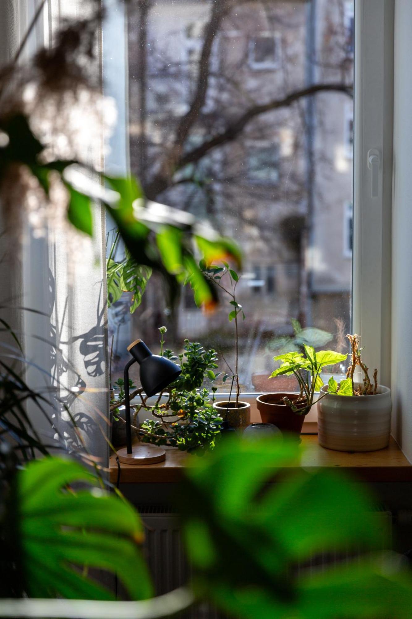 Evergreen - Old Town Spacious Stylish With Ac And One And A Half Bath, Baby & Kid- Friendly 公寓