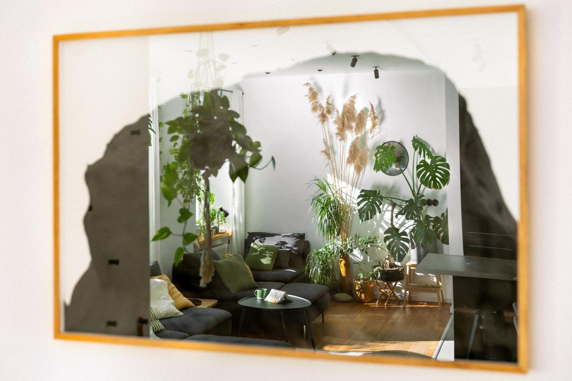 Evergreen - Old Town Spacious Stylish With Ac And One And A Half Bath, Baby & Kid- Friendly 布拉迪斯拉发