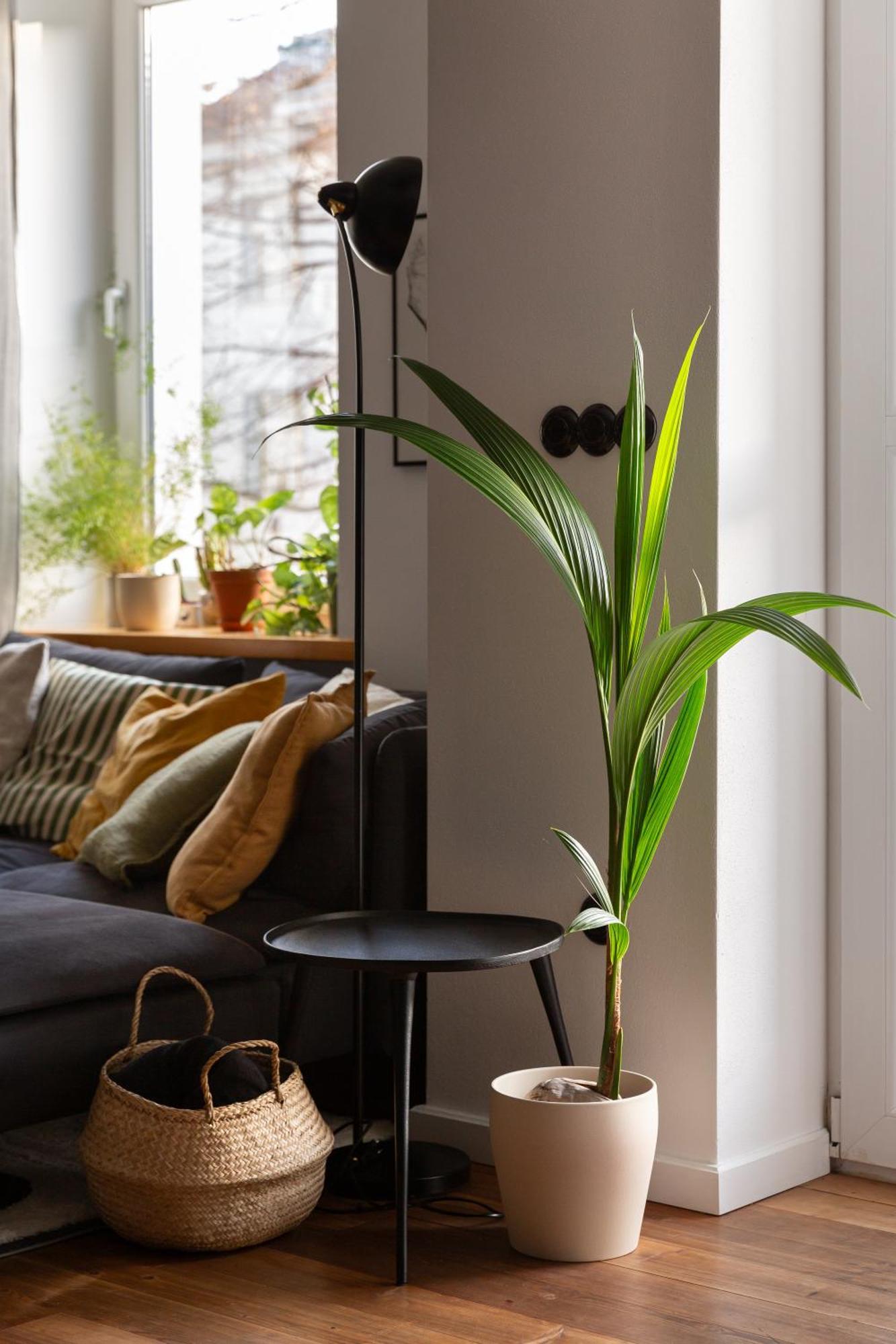 Evergreen - Old Town Spacious Stylish With Ac And One And A Half Bath, Baby & Kid- Friendly Apartment